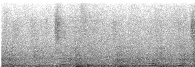 Белошейная веерохвостка - ML619016187