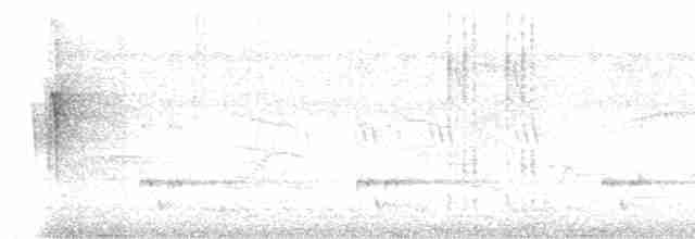 gråkronefulvetta - ML619016217