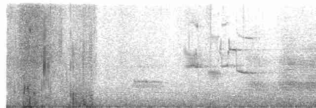 Malayan Night Heron - ML619016626
