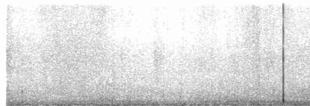 Чернохохлая кваква - ML619016654