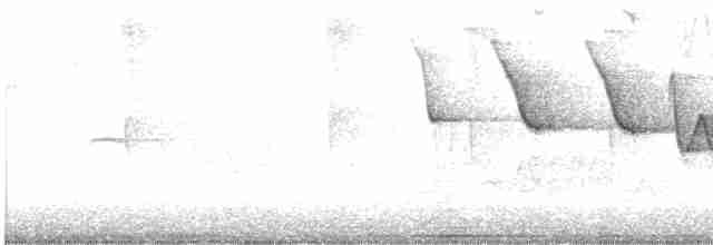 Трясогузковый певун - ML619017424