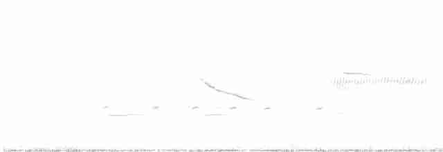 Кузнечиковая овсянка-барсучок - ML619017852