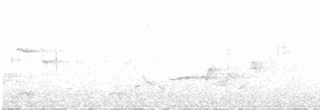 lesňáček modrohřbetý - ML619017862