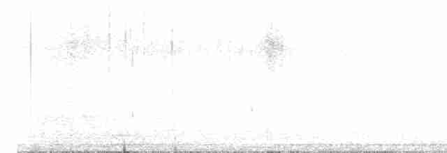 Боривітер звичайний - ML619017873