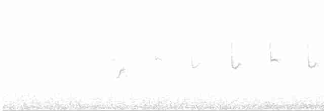 嘰喳柳鶯 - ML619018134