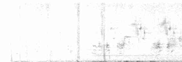 Clamorous Reed Warbler - ML619018183