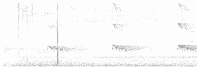 ledňáček hnědohlavý - ML619018551