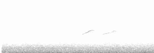 Einsiedelwasserläufer - ML619018615