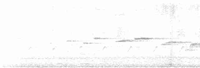 Белогорлая веерохвостка - ML619018619