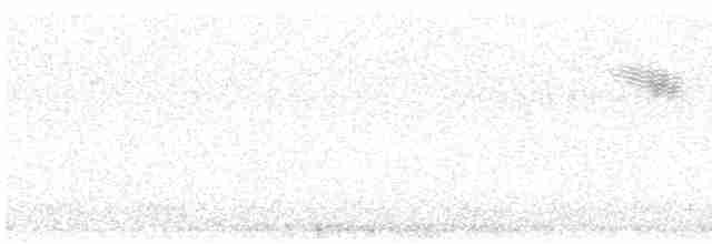 קיכלי לבן-גבה (אירואסייתי) - ML619018906