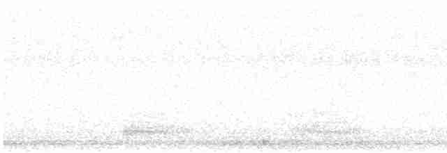 Kara Leş Kargası - ML619018933