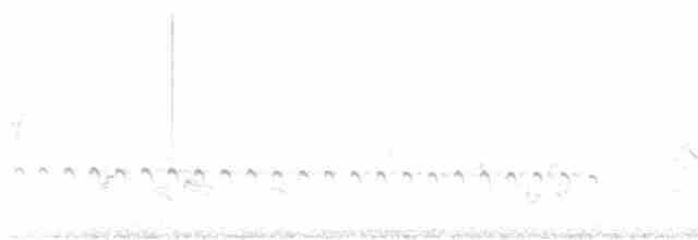 Common Babbler - ML619019311