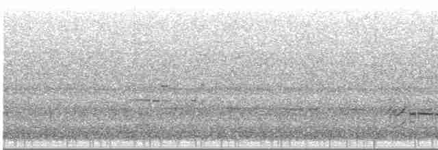 Делавэрская чайка - ML619019322
