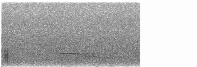 Yazılı Kahverengi Baykuş - ML619019405