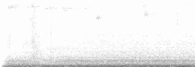 Blackpoll Warbler - ML619019486