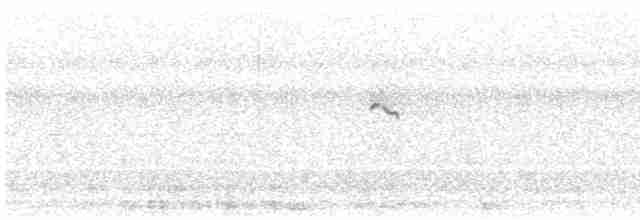 翠鳥(atthis群) - ML619019503