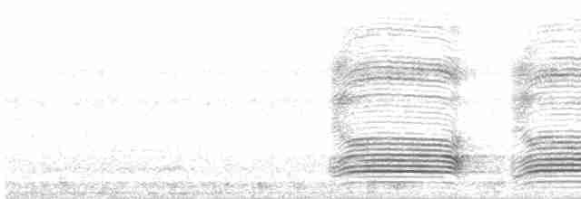 Kara Leş Kargası - ML619019504