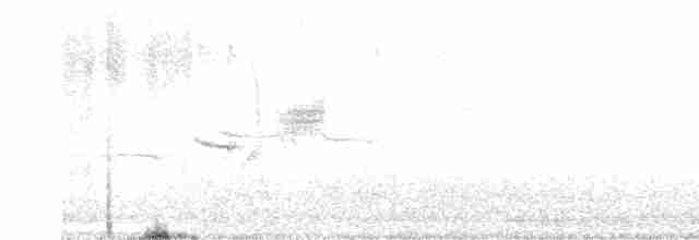 strnadec bělopásý - ML619019694
