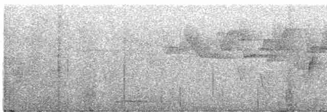 Острохвостая муния - ML619019749