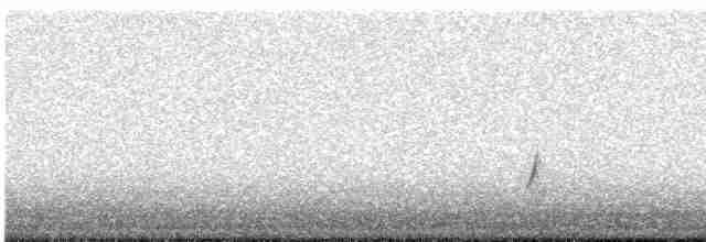 斑胸秧雞 - ML619019824