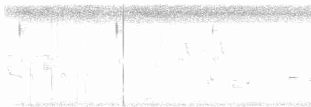 Серый турач - ML619020063