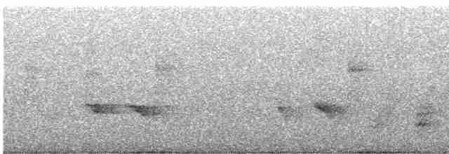 Ak Kaşlı Kasapkuşu - ML619020088