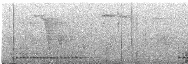 Streifenbartvogel - ML619020093
