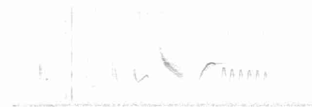 Yellow-eyed Babbler - ML619020094