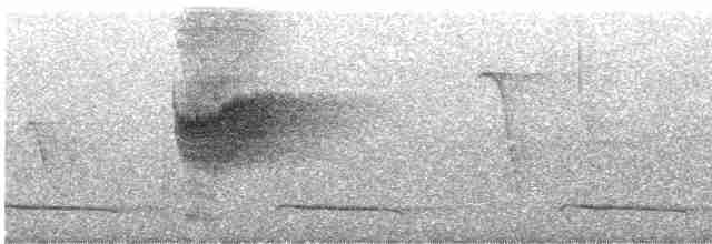 白斑紫嘯鶇 - ML619020149