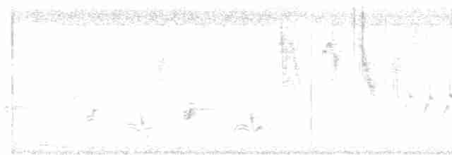 Graubrustprinie - ML619020155
