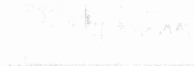 Graubrustprinie - ML619020167
