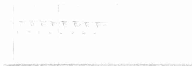 Common Iora - ML619020183
