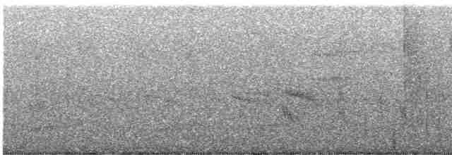 Окулярник південний - ML619020508