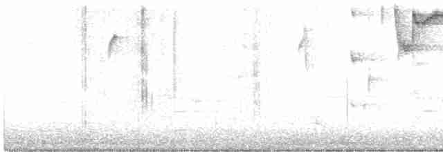vlhovec hnědohlavý - ML619020509