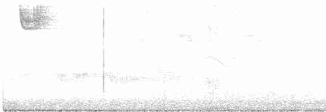 Белогорлая зонотрихия - ML619020685