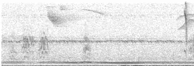 Turuncu Başlı Tangara - ML619020855