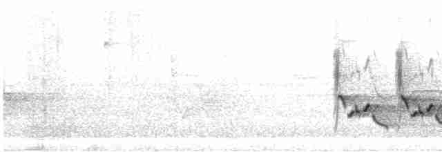 Каролинский крапивник - ML619021562