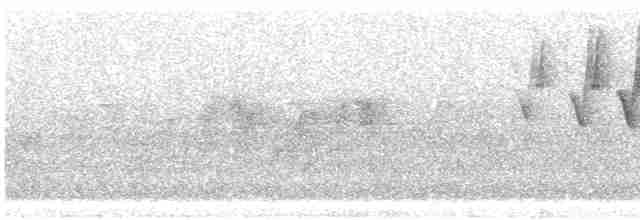 Reinita Protonotaria - ML619021607