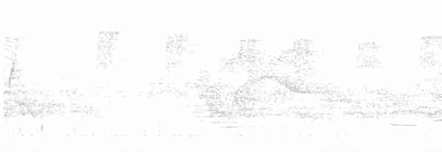 Чернокрылая пиранга - ML619021680