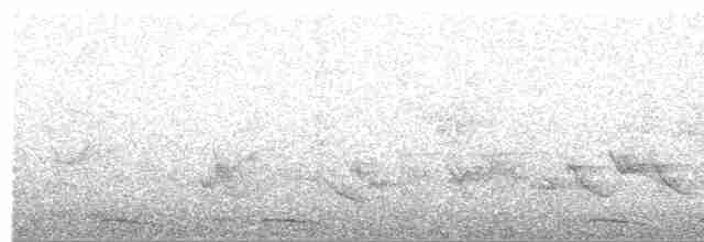 holoubek šupinkový - ML619021758