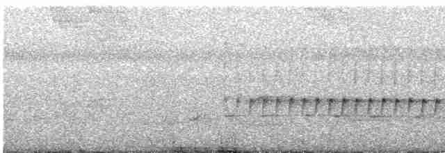 Uzun Gagalı Bitkuşu - ML619021903