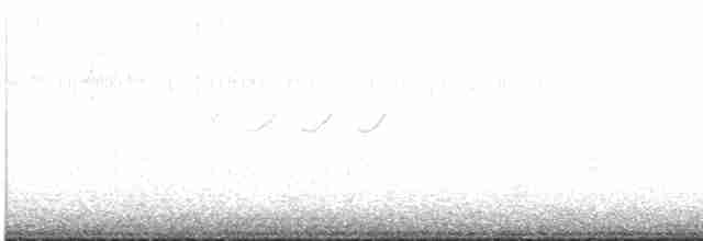 Улит-отшельник - ML619022036