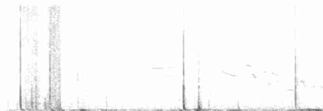 ブリューワーヒメドリ - ML619022089