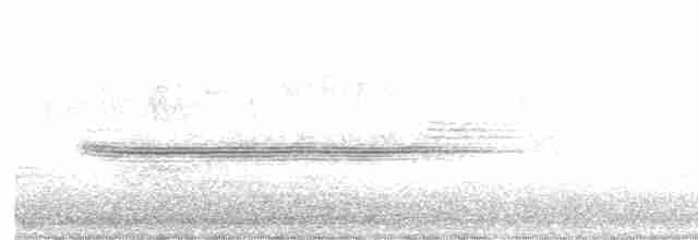 Turuncu Ardıç - ML619022189