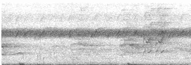 Пересмішник сивий - ML619022222