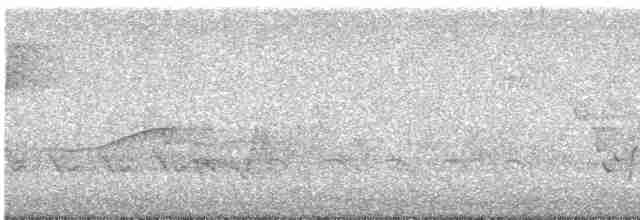 Cerulean Warbler - ML619022751