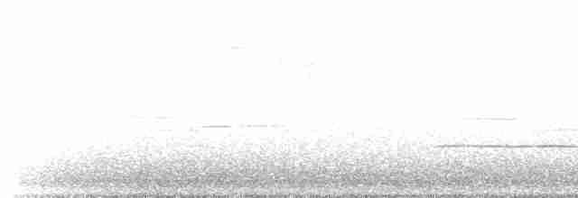 Bruant à gorge blanche - ML619022820