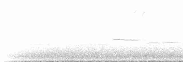 strnadec bělohrdlý - ML619022821