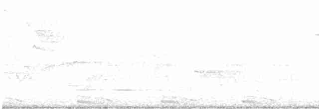 Yellow-billed Cuckoo - ML619022861