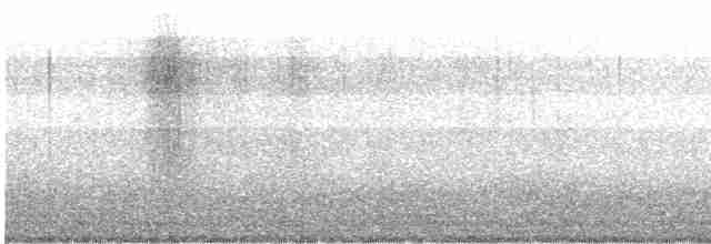 Сипуха крапчаста - ML619023250